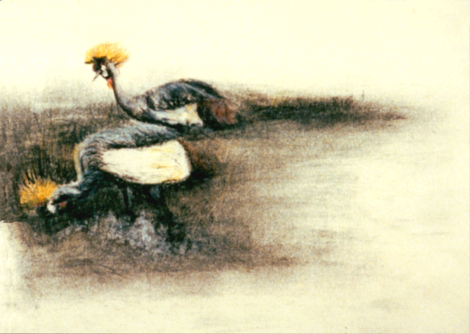 Crowned Cranes, Maasai Mara National Reserve, Kenya