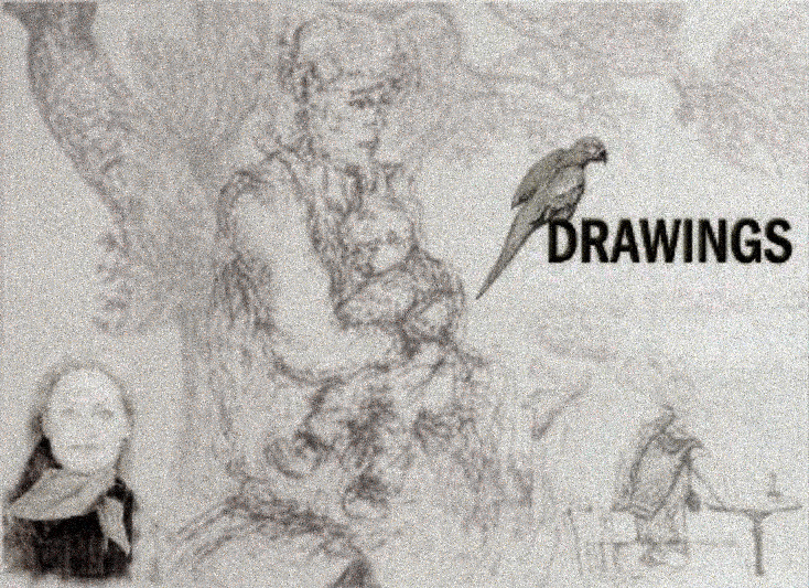 Digital Collage Drawings