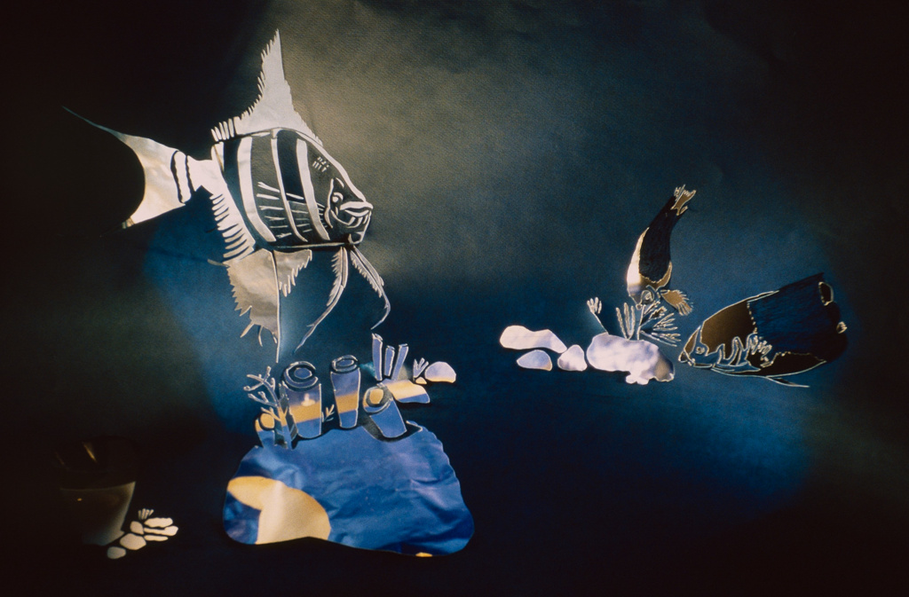 Fresh and Salt Waters _night scene.